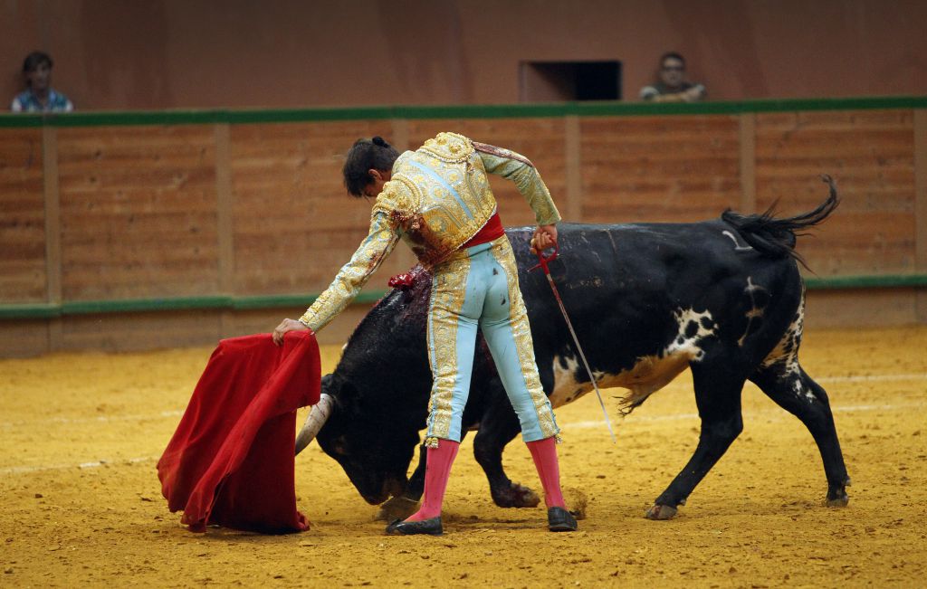 Arnedo - Novillada - Feria Zapato de Oro - Sábado 29 de septiembre de 2018