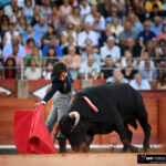 Final del certamen Destino La Glorieta