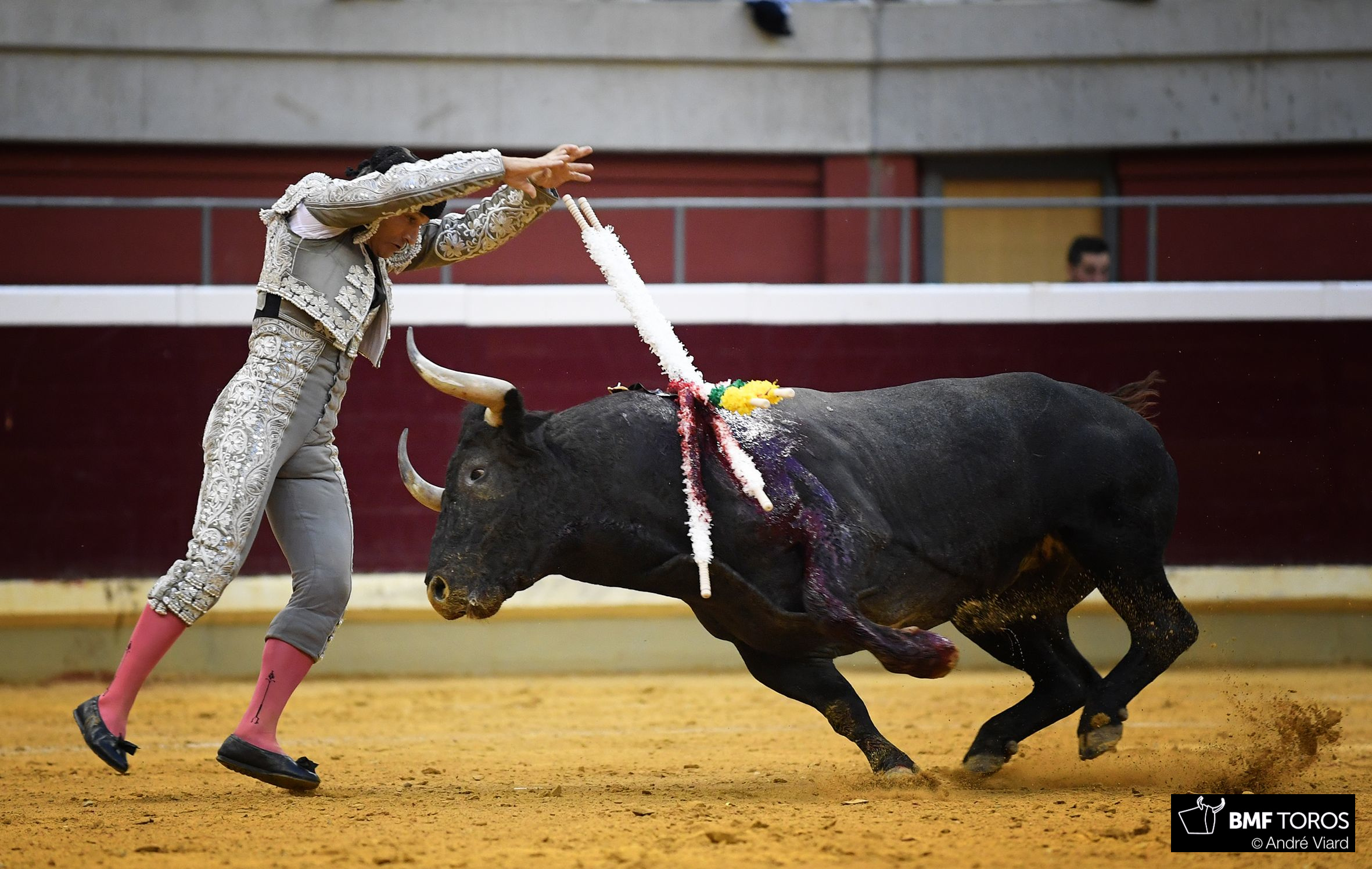 El banderillero Roberto Martín "Jarocho", cogido en Móstoles