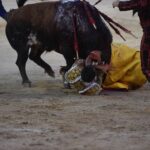 Madrid - Cogida de Fortes - Viernes 28 de septiembre de 2018