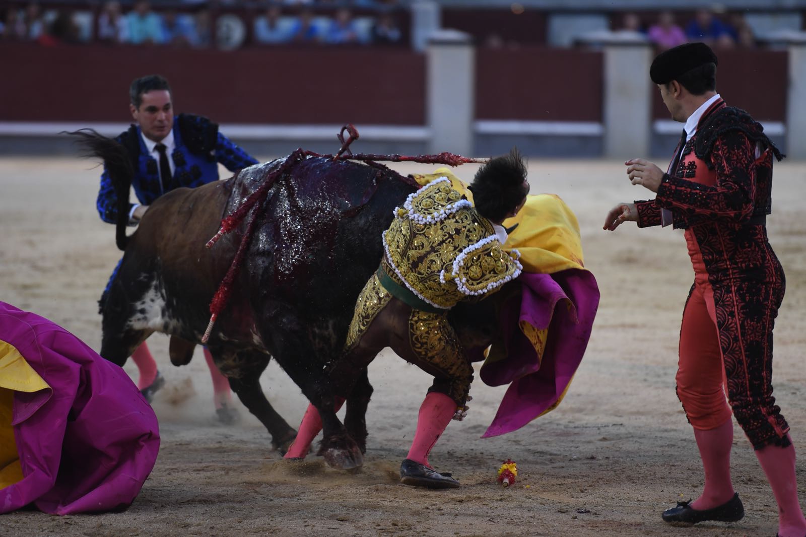 Madrid - Cogida de Fortes - Viernes 28 de septiembre de 2018