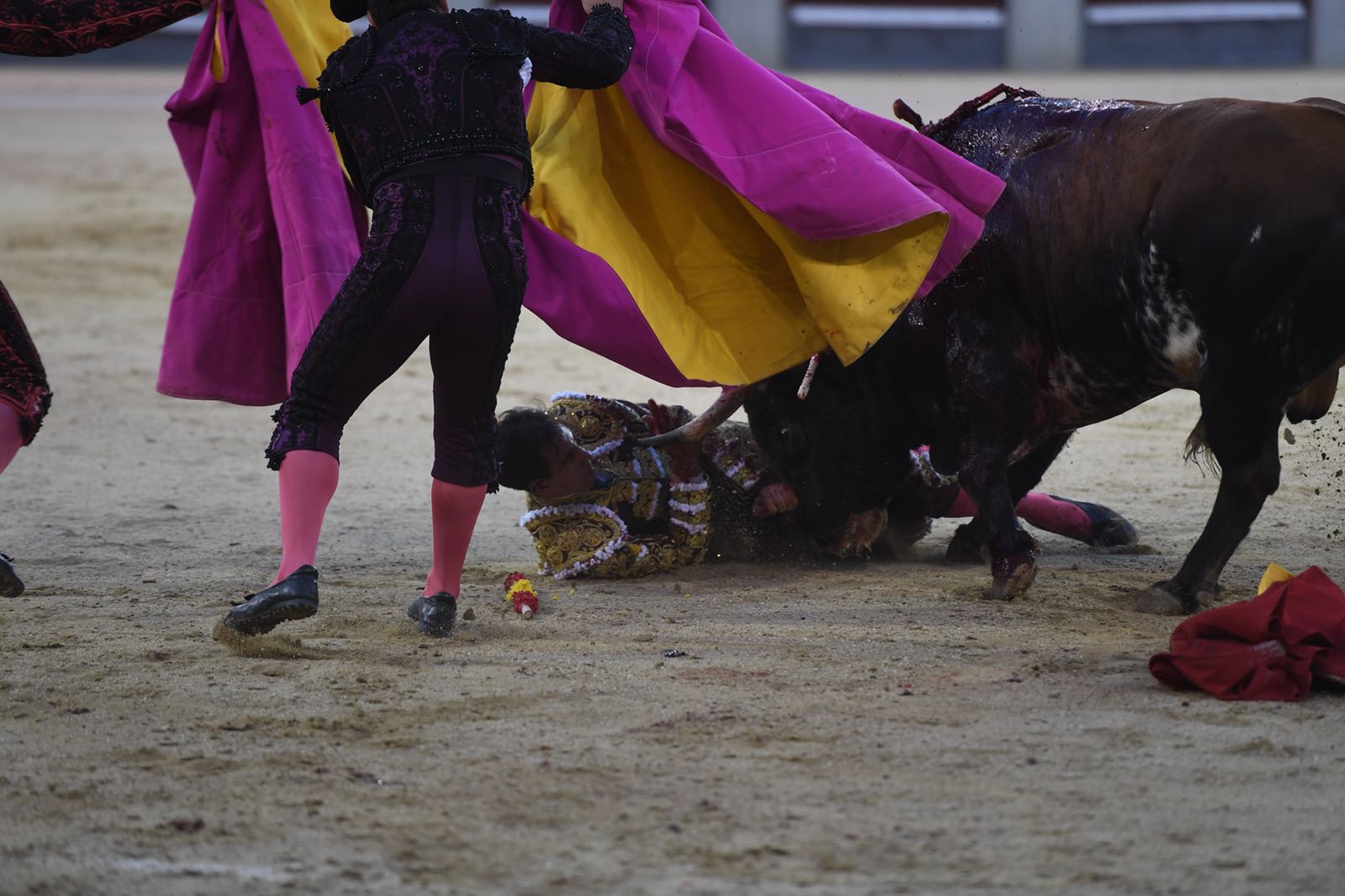 Madrid - Cogida de Fortes - Viernes 28 de septiembre de 2018