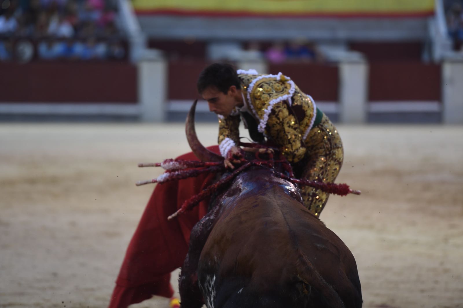 Madrid - Cogida de Fortes - Viernes 28 de septiembre de 2018