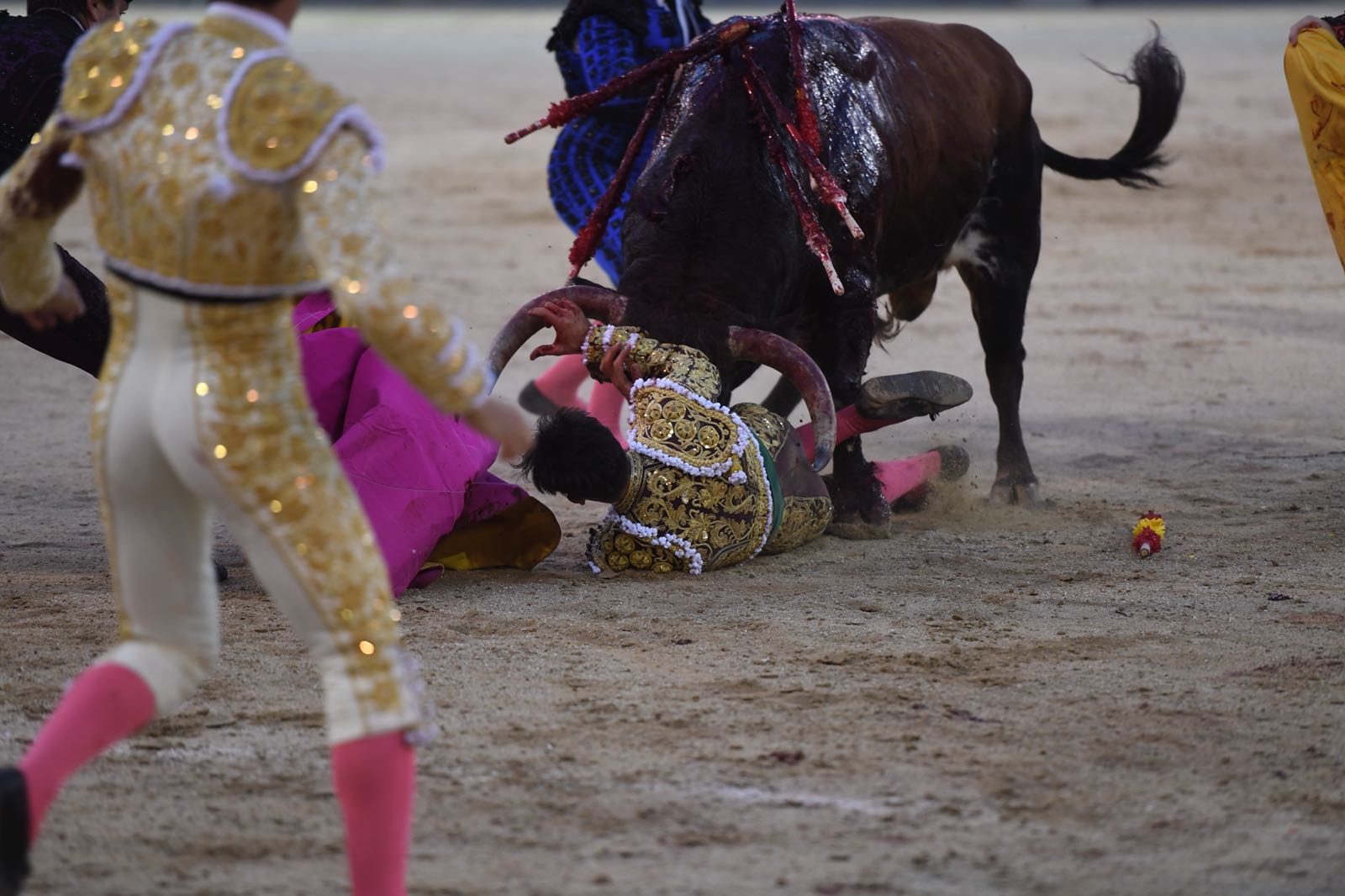 Madrid - Cogida de Fortes - Viernes 28 de septiembre de 2018