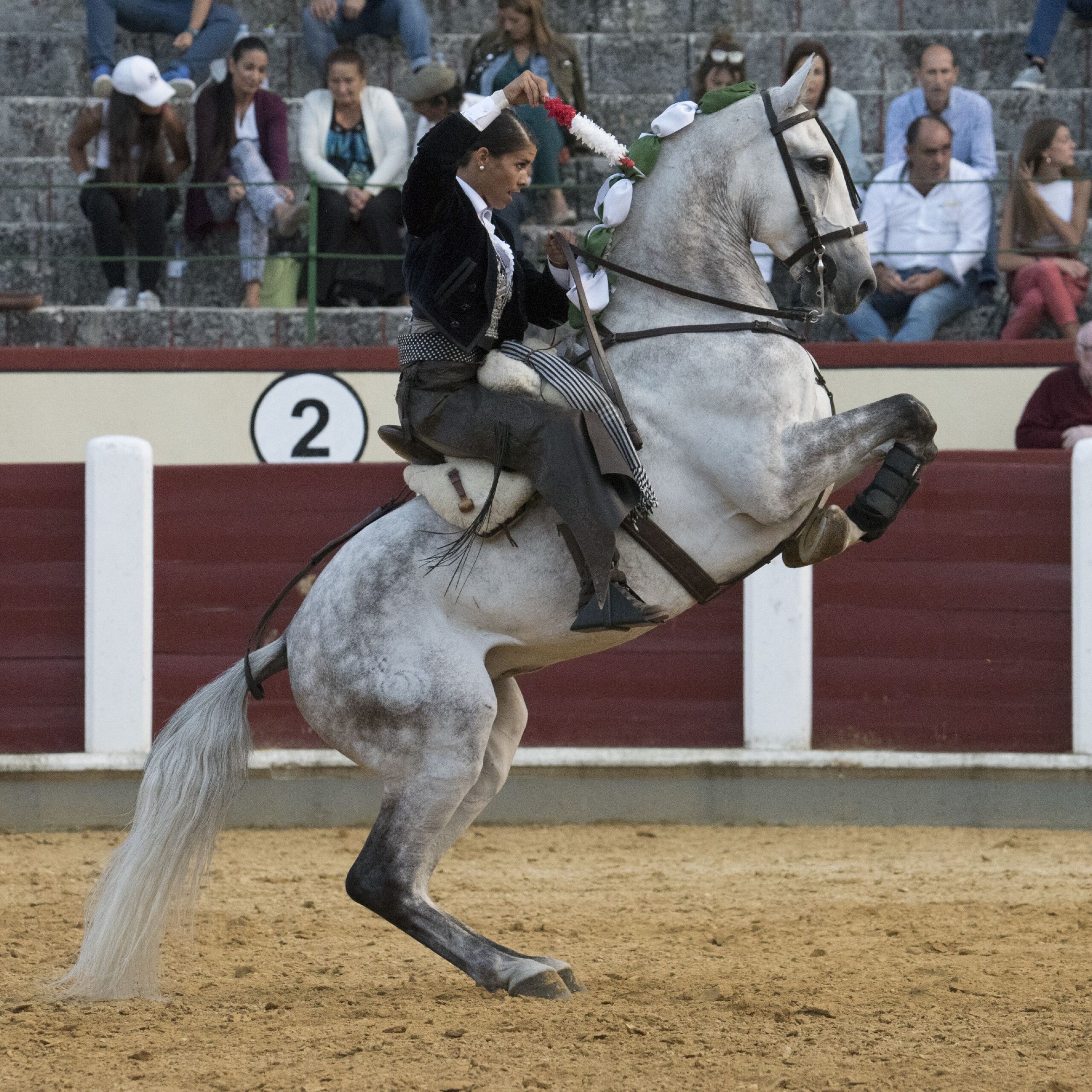 Valladolid - Corrida de rejones - Domingo 9 de septiembre de 2018