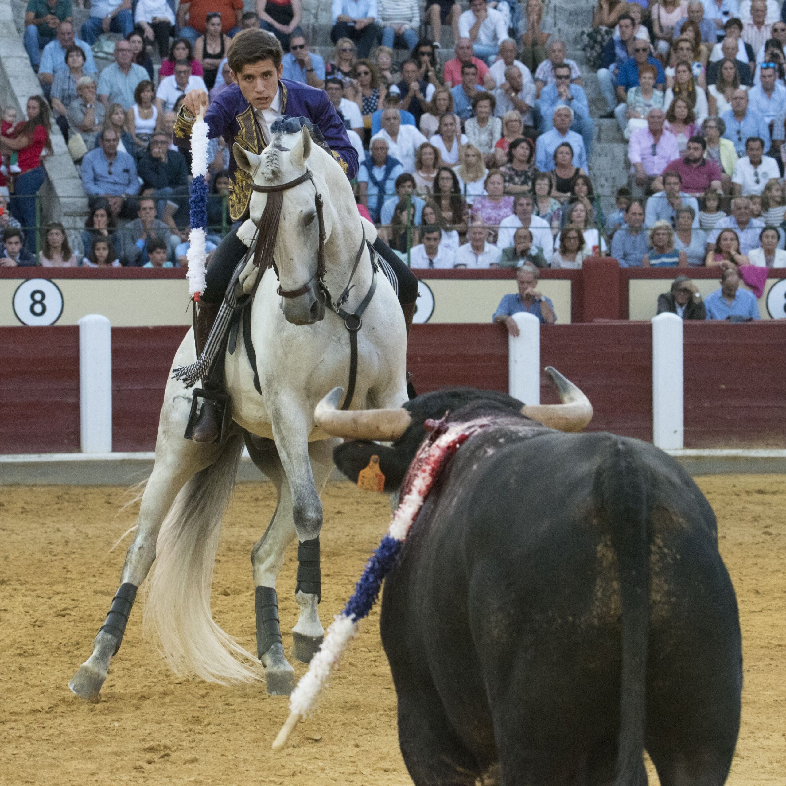 Valladolid - Corrida de rejones - Domingo 9 de septiembre de 2018