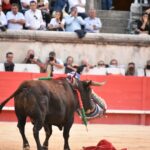 Nimes, 14 de septiembre de 2018