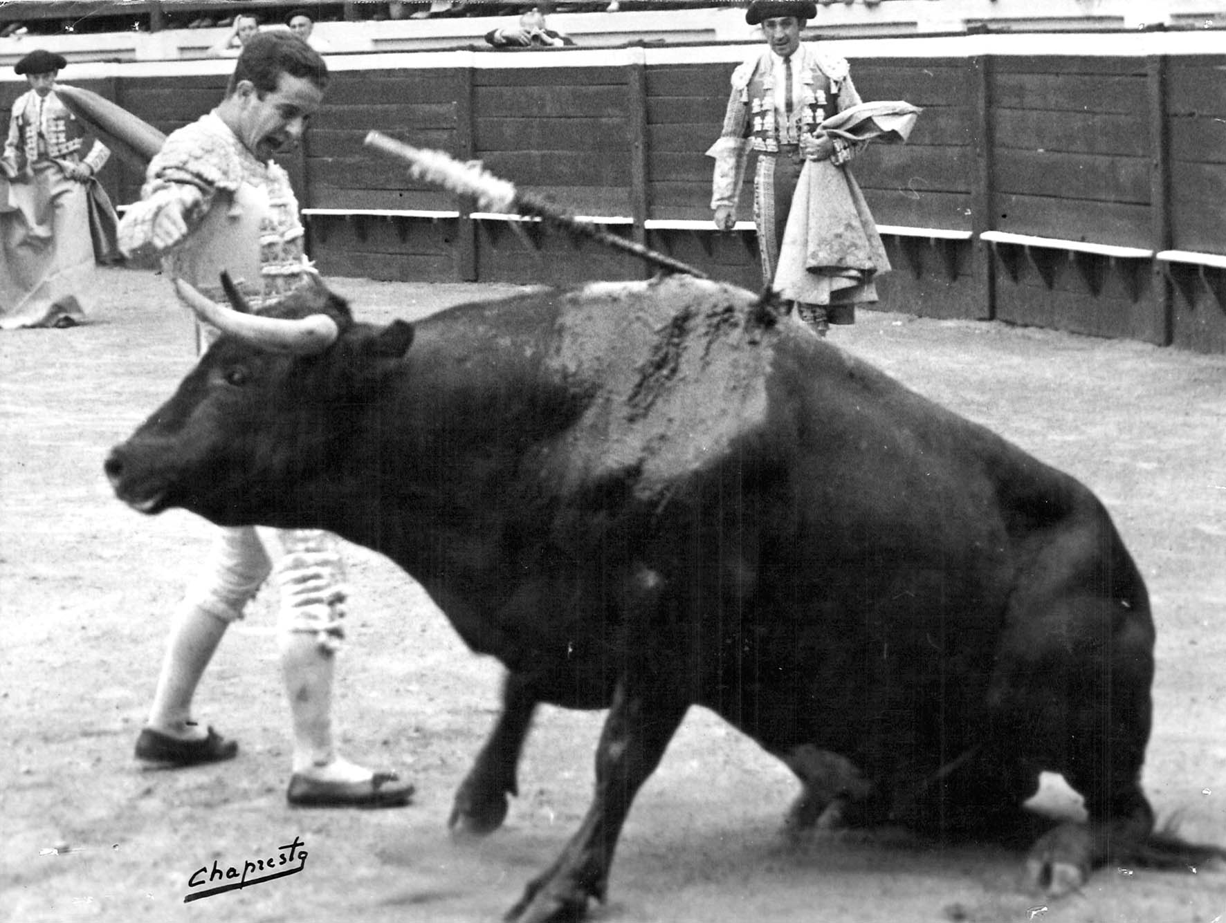 Más de un siglo de cosechas taurinas