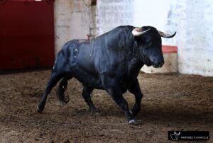 Palencia - Sorteo - Sábado 1 de septiembre de 2018