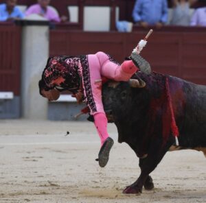 Madrid- Novillada picada - Domingo 3 de septiembre de 2018