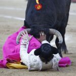 Bayona (Francia) - Corrida de toros - Domingo 2 de septiembre de 2018