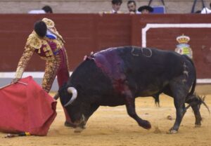 Villaseca de la Sagra (Toledo), viernes 7 de septiembre de 2018