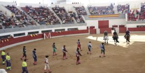 Plaza de toros de Las Rozas