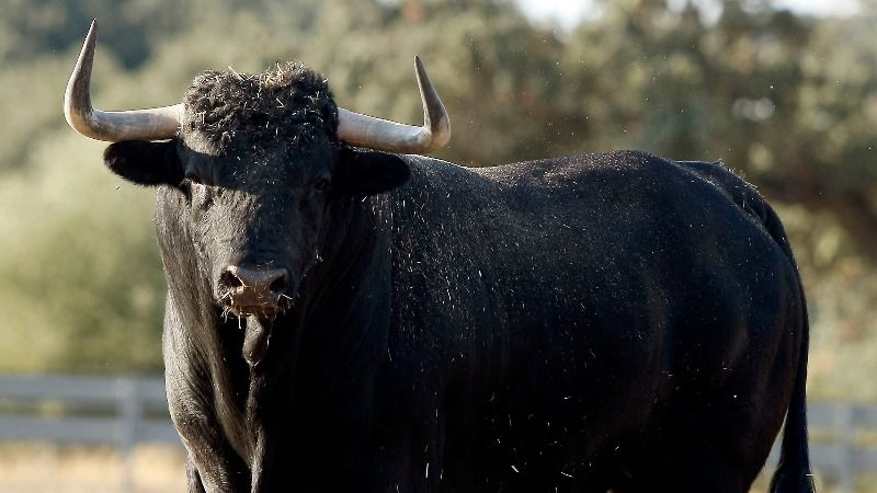 Virgen María, a por la consagración en Nimes