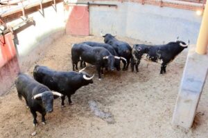 Sorteo, Guadalajara 15 de septiembre de 2018