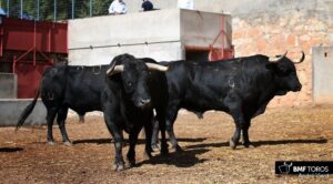 Sorteo, Salamanca 15 de septiembre de 2018