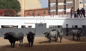 Sorteo, Albacete 16 de septiembre de 2018