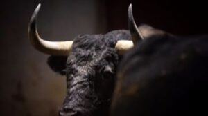 Logroño. Martes, 18 de septiembre de 2018. Toros de Victorino para Juan Bautista, Escribano y Joselito Adame.