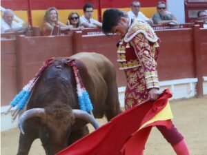 Alicante - Novillada picada - Viernes 3 de agosto de 2018