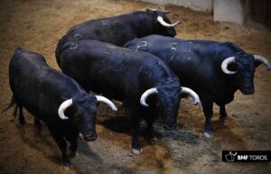 Sorteo, Logroño 22 de septiembre de 2018