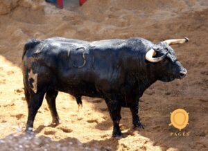 Sevilla - sorteo - Corrida de toros - Domingo 30 de septiembre de 2018