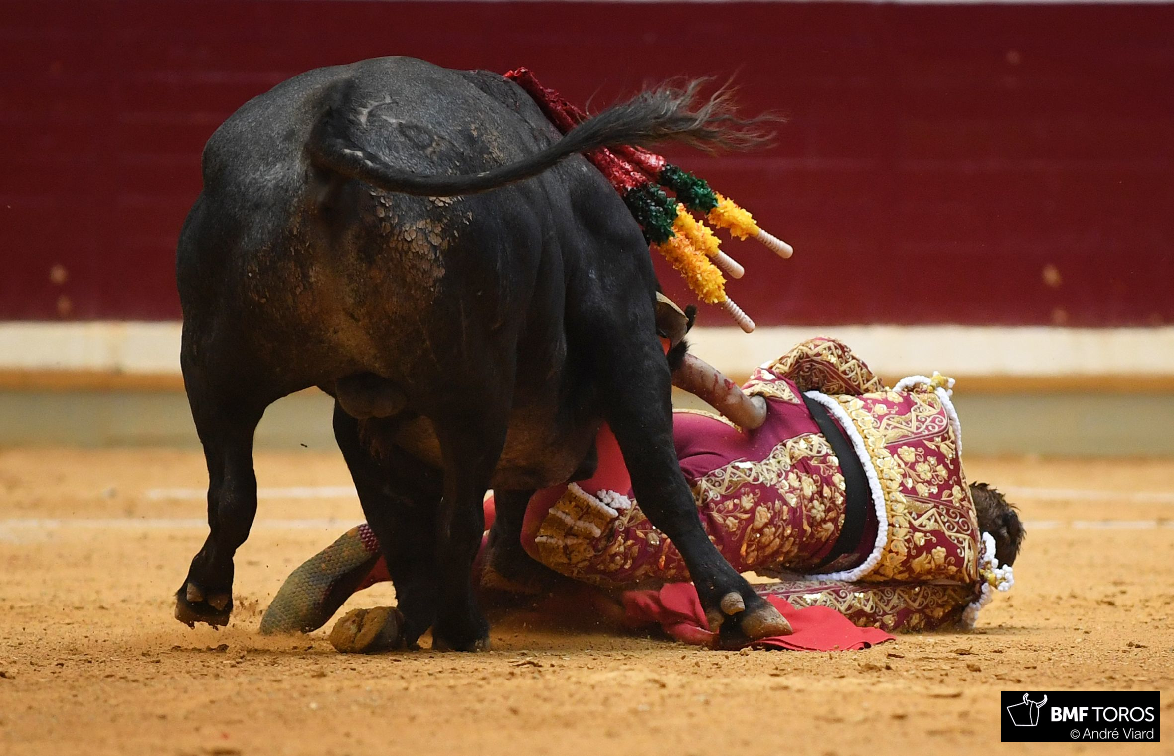 Juan Bautista, cornada de 13 cm. en el muslo derecho