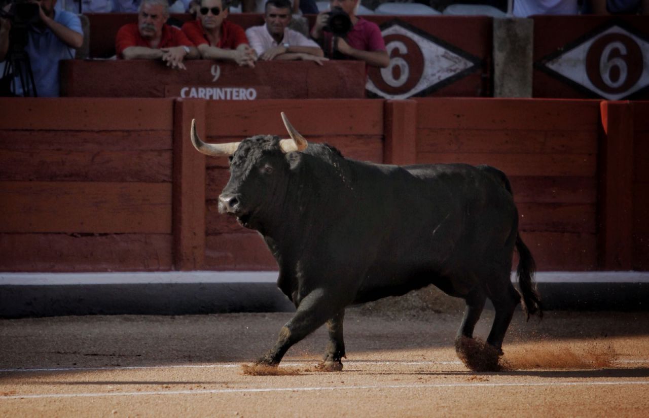 Liricoso, el quinto indulto en la historia de La Glorieta