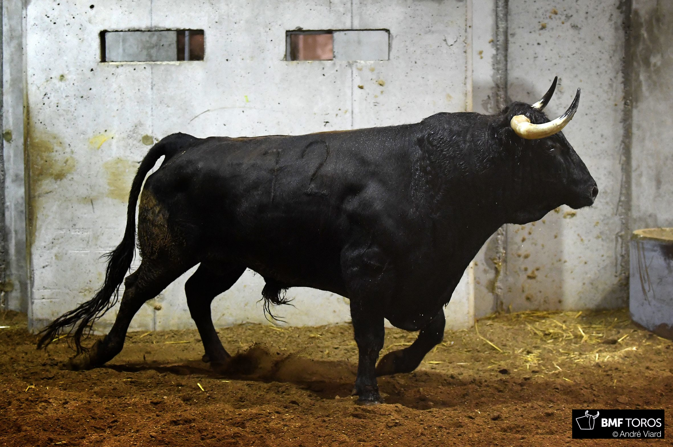Cuatro de Juan Pedro Domecq y dos de Parladé, hoy en Logroño