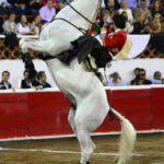 Querétaro (México). 26 de octubre de 2018