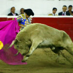 Querétaro (México). 26 de octubre de 2018