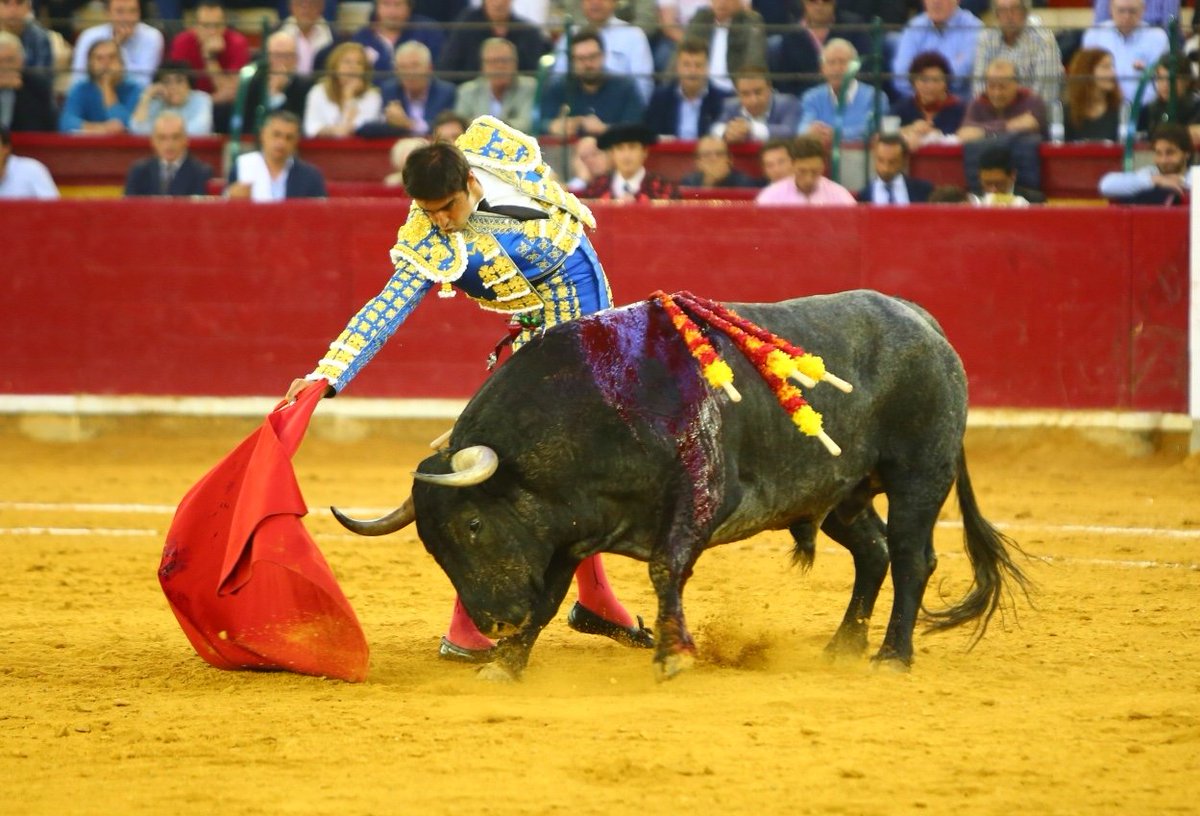 Zaragoza. Jueves 11 de octubre de 2018.