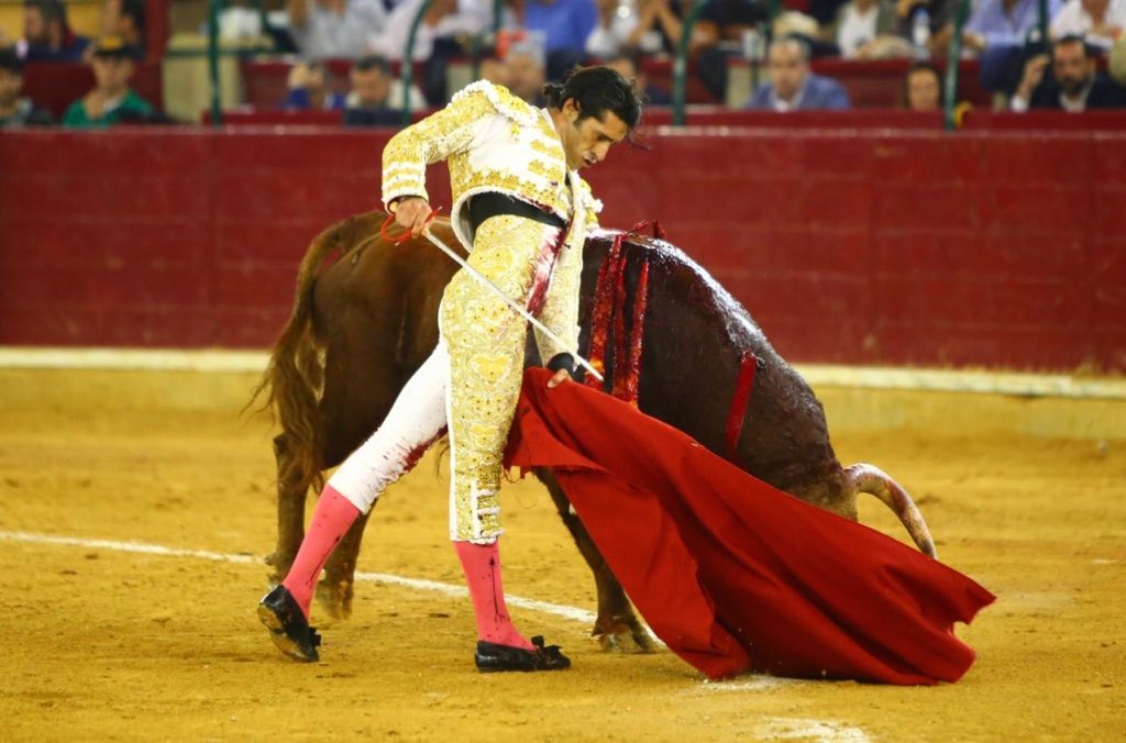 Zaragoza. Domingo 14 de octubre de 2018.