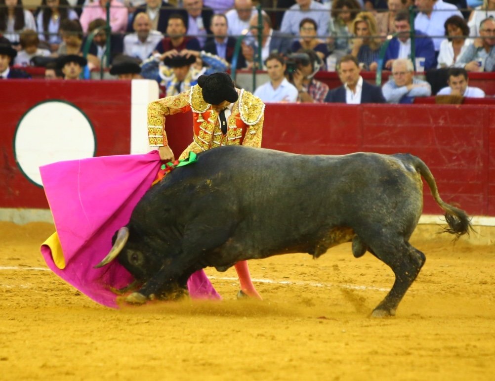 Zaragoza. Jueves 11 de octubre de 2018.