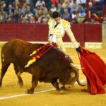 CUCO Nº 11 • G 2014