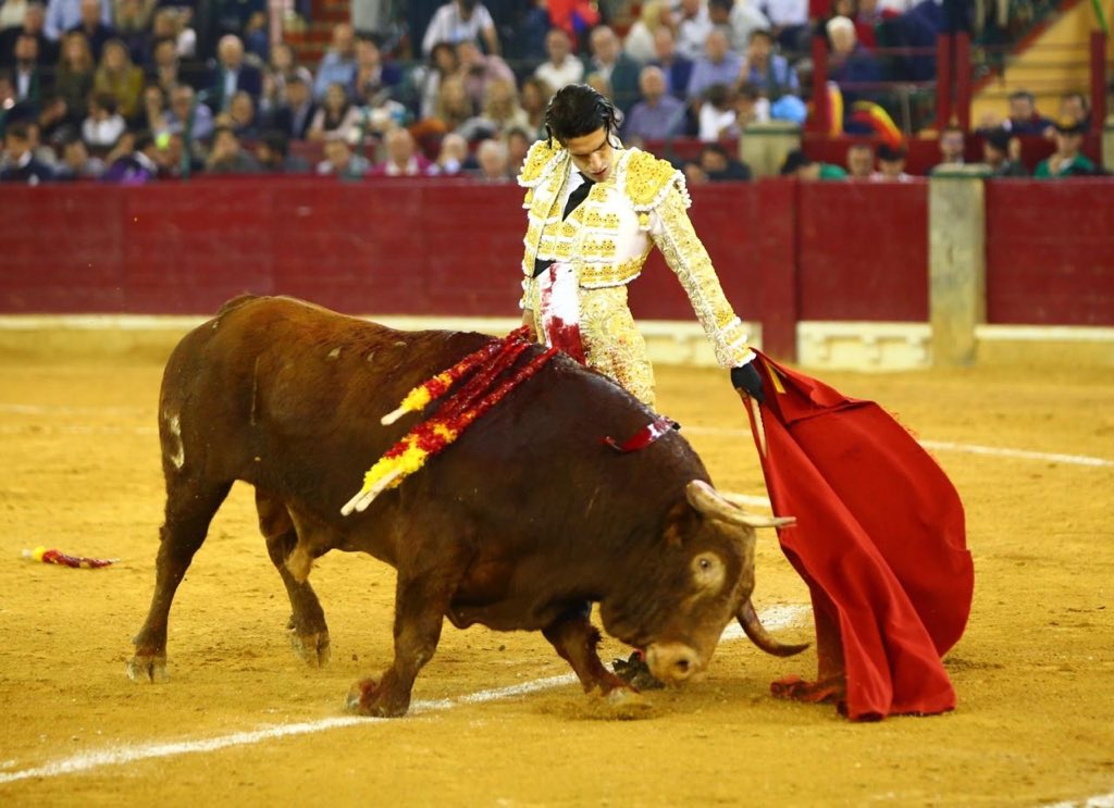 CUCO Nº 11 • G 2014