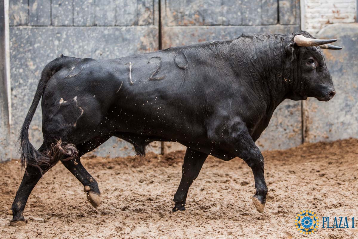 Sorteo. Madrid, 14 de octubre de 2018