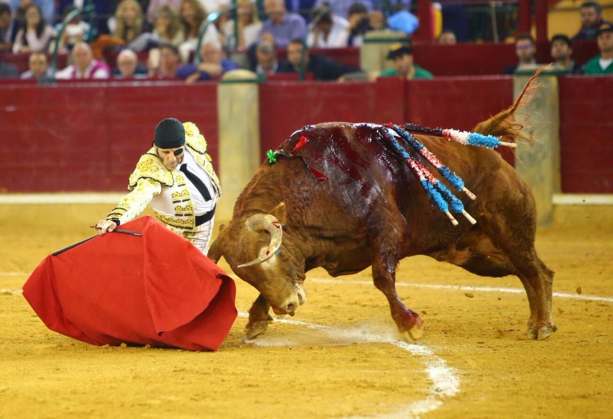 Zaragoza. Domingo 14 de octubre de 2018.