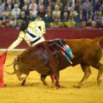 Zaragoza. Domingo 14 de octubre de 2018.