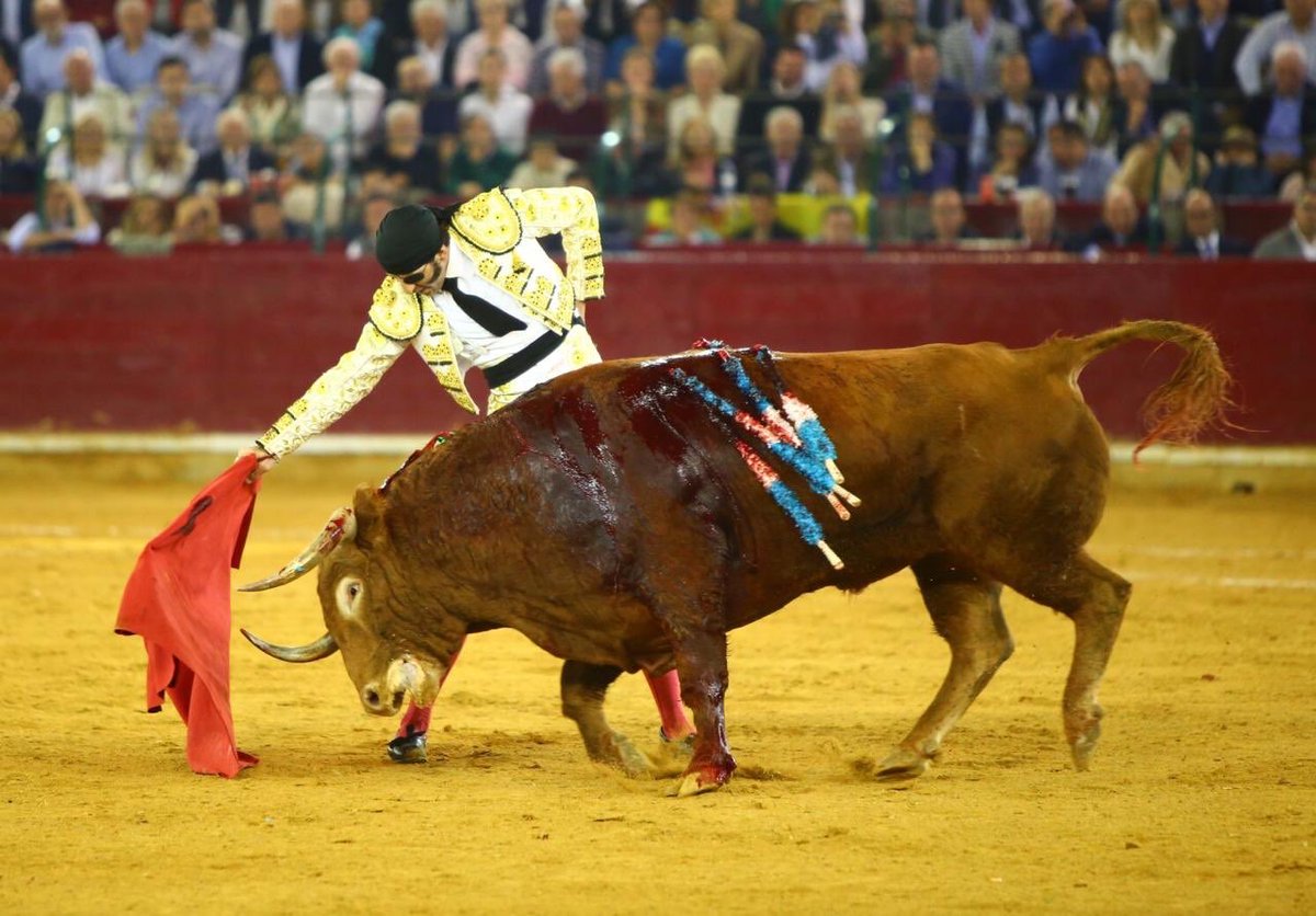 Zaragoza. Domingo 14 de octubre de 2018.