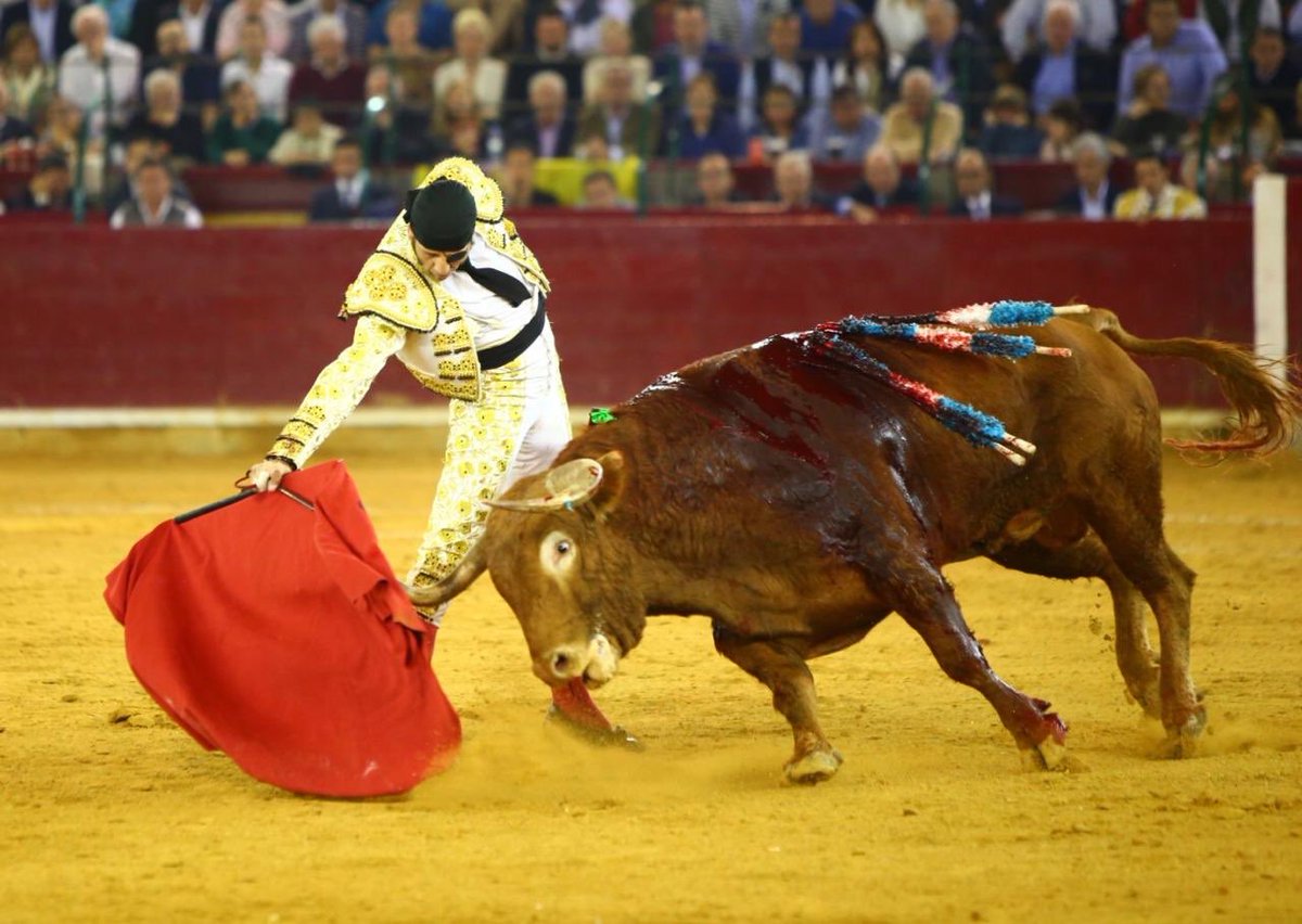 Zaragoza. Domingo 14 de octubre de 2018.