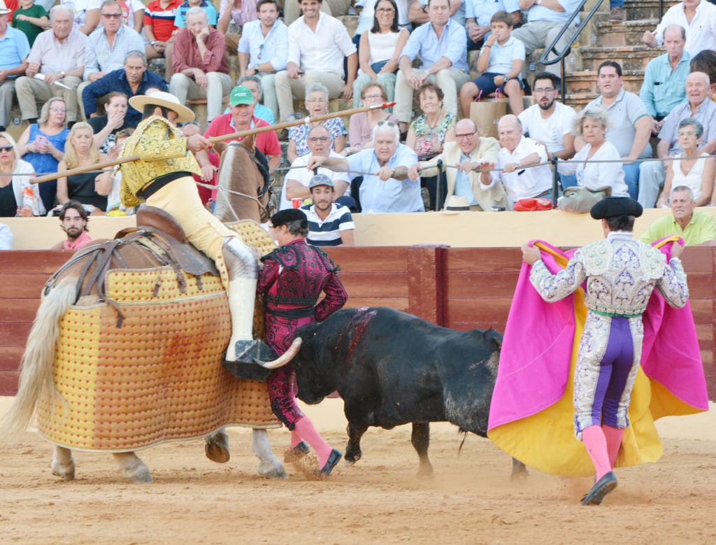 Osuna (Sevilla) - Festejos mixto - Sábado 6 de octubre de 2018