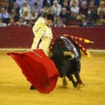 Zaragoza. Domingo 14 de octubre de 2018.