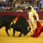 Zaragoza. Domingo 14 de octubre de 2018.