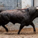 Sorteo. Madrid, 14 de octubre de 2018