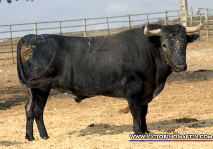 VERDADERO Nº 32 • G 2014