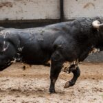 Sorteo. Madrid, 14 de octubre de 2018