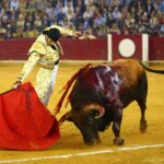 Zaragoza. Domingo 14 de octubre de 2018.