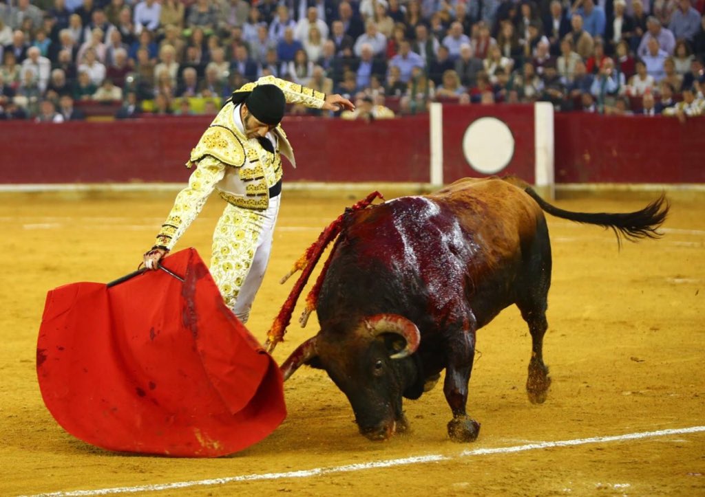Zaragoza. Domingo 14 de octubre de 2018.