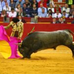 Zaragoza. Jueves 11 de octubre de 2018.