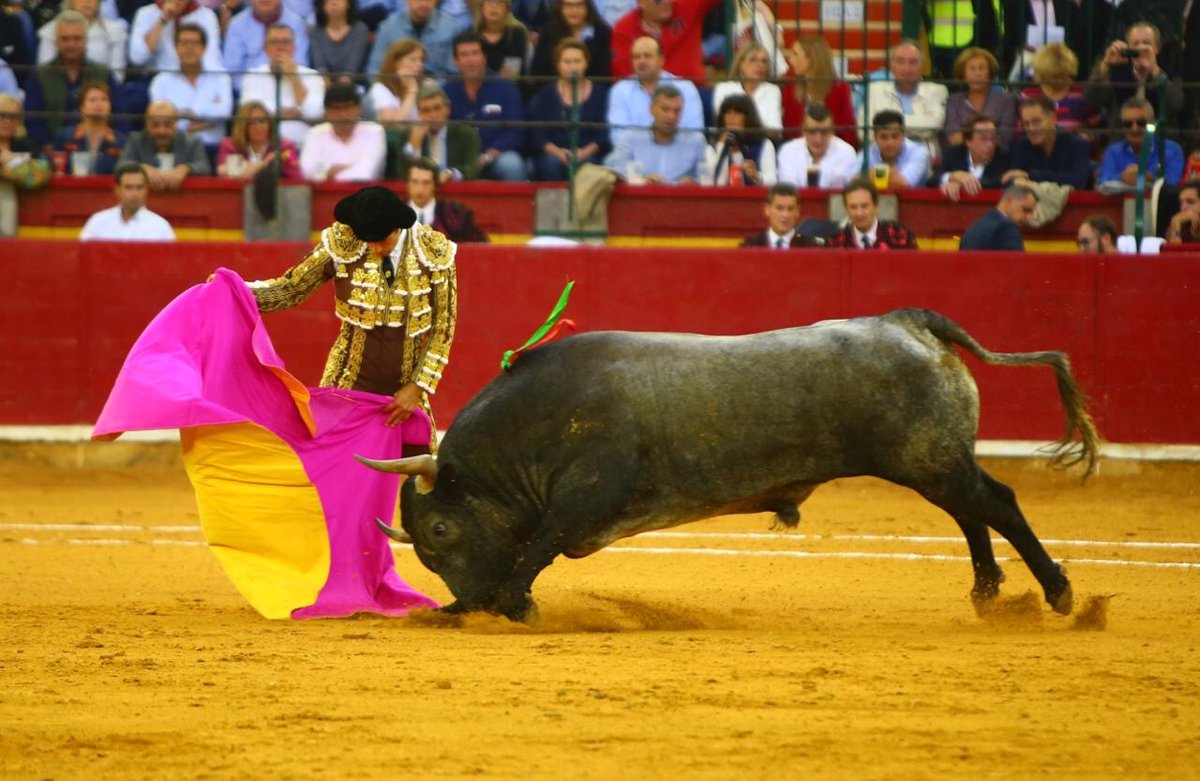 Zaragoza. Jueves 11 de octubre de 2018.